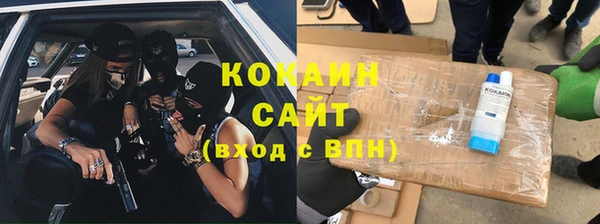 шишки Аркадак