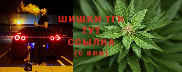 шишки Аркадак