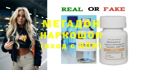 шишки Аркадак