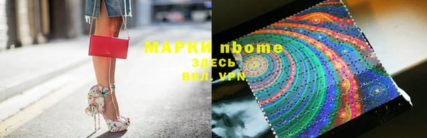шишки Аркадак