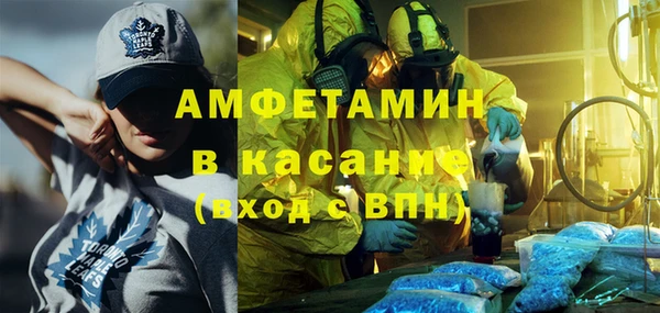 шишки Аркадак