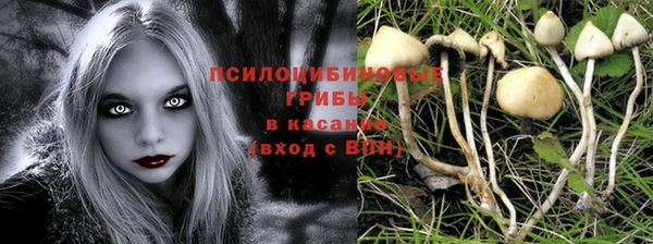 первитин Армянск