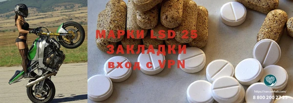 шишки Аркадак