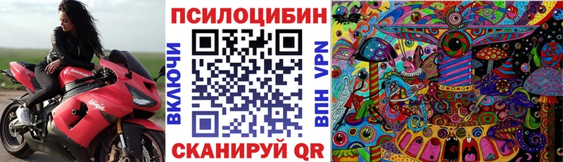 hydra ССЫЛКА  Серафимович  Псилоцибиновые грибы мухоморы 